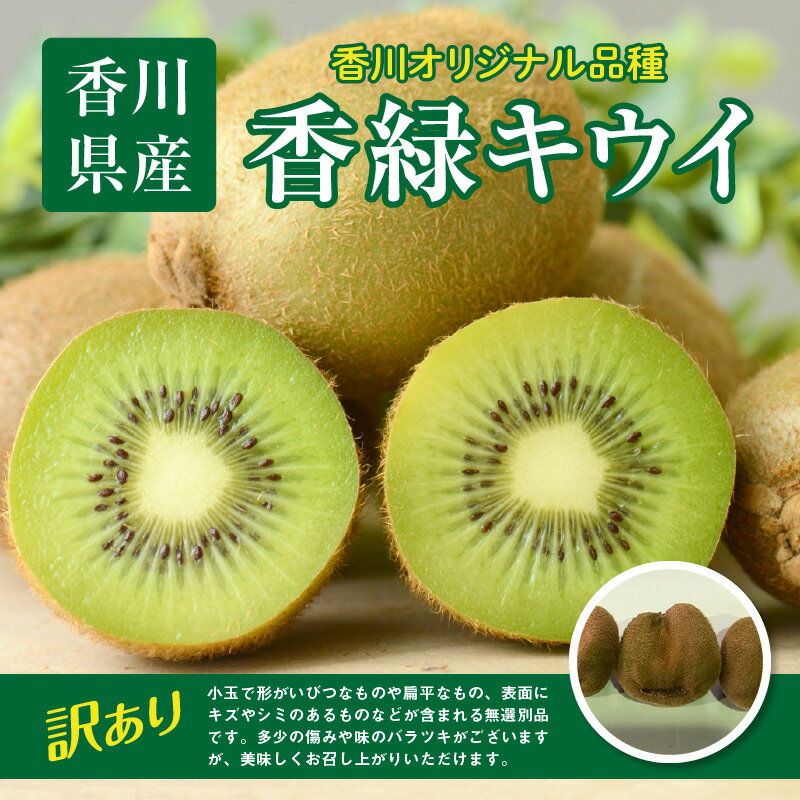 香川県高松市の画像2