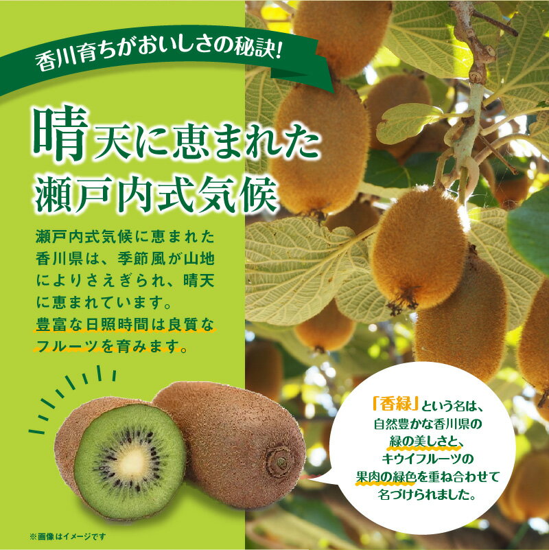 香川県高松市の画像3