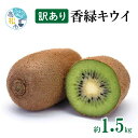 【ふるさと納税】訳あり 無選別品 香川県オリジナル品種 香緑キウイ 約1.5kg【2025年12月上旬〜2026年3月下旬配送】 | 香緑 キウイ キウイフルー...