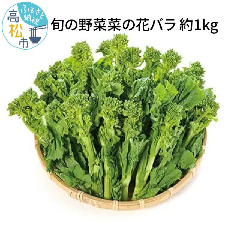 菜の花 約 1kg バラ 国産 高松市産 旬の野菜 春野菜 花菜 食用 ほろ苦い 和え物 炒め物 揚げ物 味噌汁 自宅用 家庭用 おすそ分け 和食 お取り寄せ 香川県 高松市 送料無料