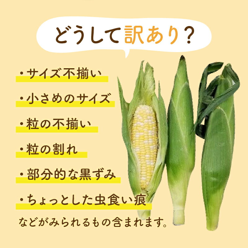 【ふるさと納税】 訳あり サイズ 粒 不揃い 小さい 割れ 黒ずみ 家庭用 ドルチェドリーム 約4.5kg 果汁 たっぷり とうもろこし トウモロコシ コーン 野菜 瀬戸内 香川県 高松市 送料無料