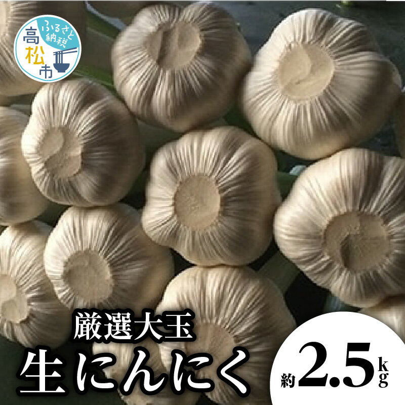 【ふるさと納税】にんにく 厳選 大玉 生にんにく 約 2.5kg 期間限定 国産 香川県産 野菜 肉厚 濃厚 新鮮 鮮度抜群 食品 食材 お取り寄せ 自宅用 家庭用 贈り物 瀬戸内 香川県 高松市 送料無料