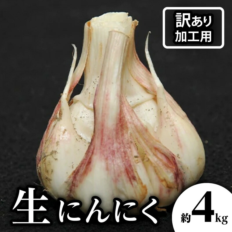 【ふるさと納税】訳あり にんにく 生ニンニク 約 4kg 加工用 期間限定 国産 野菜 肉厚 濃厚 新鮮 鮮度抜群 風味抜群 旬 食品 食材 お取り寄せ 自宅用 家庭用 瀬戸内 香川県 高松市 送料無料