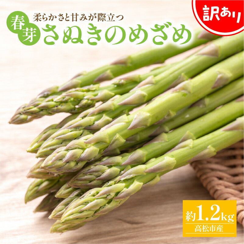 訳あり アスパラガス さぬきのめざめ 約 1.2kg 国産 春芽 大きい 柔らかい 甘い オリジナル品種 自宅用 家庭用 おうち時間 お取り寄せ 新鮮 野菜 旬 旬の味覚 産地直送 香川県 高松市 送料無料