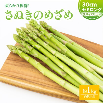 柔らかい さぬきのめざめ セミロング 30cm Lサイズ 約1kg アスパラガス 野菜 香川県 オリジナル 品種 シャキシャキ 瀬戸内 香川県 高松市 新鮮 長い ロング 送料無料