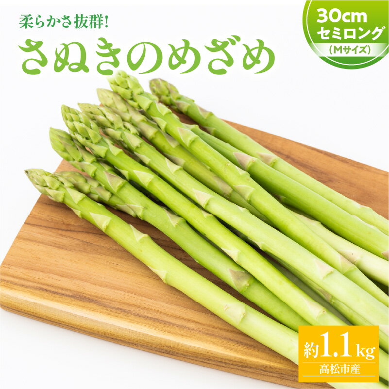 【ふるさと納税】 柔らかい さぬきのめざめ セミロング 30cm Mサイズ 約1.1kg アスパラガス 野菜 香川県 オリジナル 品種 シャキシャキ 瀬戸内 香川県 高松市 新鮮 長い ロング 送料無料