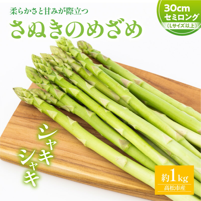 【ふるさと納税】 柔らかい 甘い さぬきのめざめ セミロング 30cm Lサイズ 以上 約1kg アスパラガス 爽やか シャキシャキ 香川県 オリジナル 品種 長い ロング 野菜 瀬戸内 高松市 送料無料