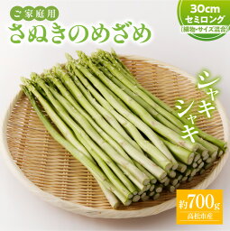 【ふるさと納税】 家庭用 さぬきのめざめ セミロング 30cm 長い 細物 サイズ混合 約700g 香川県 オリジナル 品種 アスパラガス 野菜 シャキシャキ 甘い 瀬戸内 香川県 高松市 送料無料