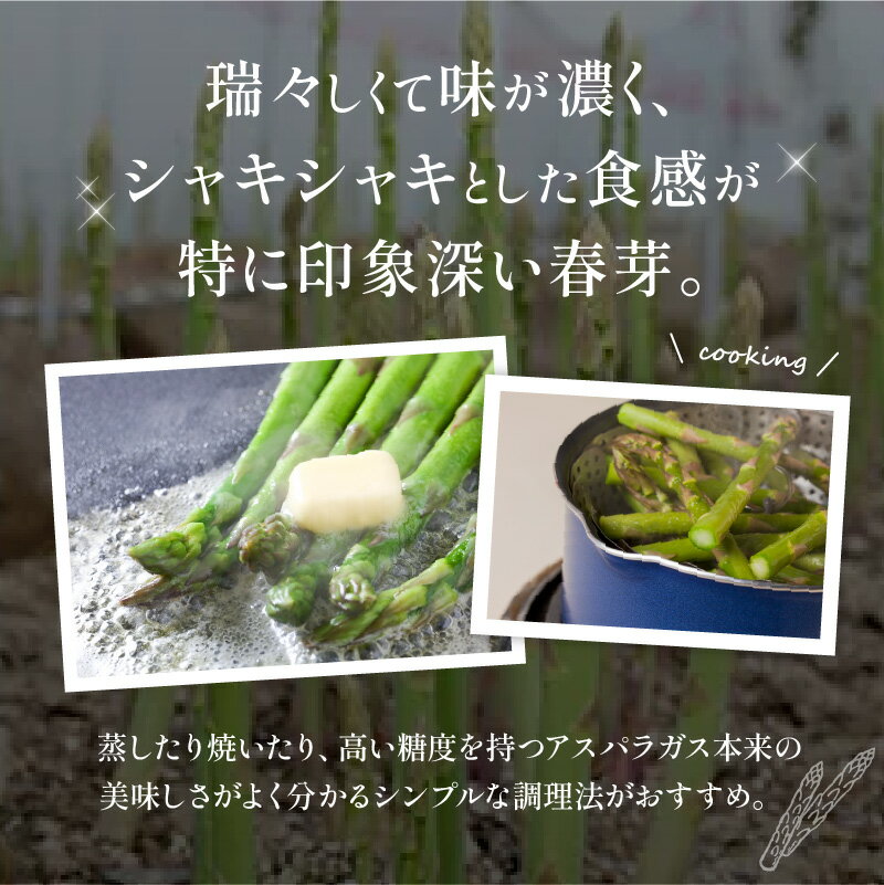 【ふるさと納税】 柔らかい 甘い さぬきのめざめ 春芽 約700g アスパラガス 野菜 香川県 オリジナル 品種 シャキシャキ 格別 瀬戸内 香川県 高松市 新鮮 送料無料