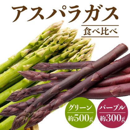 グリーン 約500g パープル 約300g 【2024年3月上旬～2024年9月下旬配送】 アスパラガス 食べ比べ セット 野菜 アスパラ 香川県 高松市 シャキシャキ 甘み 柔らかい お取り寄せ 送料無料