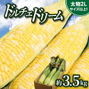 【ふるさと納税】とうもろこし ドルチェドリーム 約 3.5kg 2L サイズ以上 太物 食べ応え抜群 大きい コーン 野菜 おうち時間 おやつ お取り寄せ 自宅用 家庭用 おすそ分け 贈り物 瀬戸内 香川県 高松市 送料無料