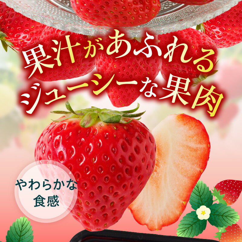 【ふるさと納税】大粒 いちご さぬきひめ 国産 約 1kg 厳選 1粒 20g 以上 果物 フルーツ 瀬戸内 果汁 たっぷり 甘い ギフト プレゼント 贈り物 自宅用 家庭用 おやつ デザート お取り寄せ 送料無料