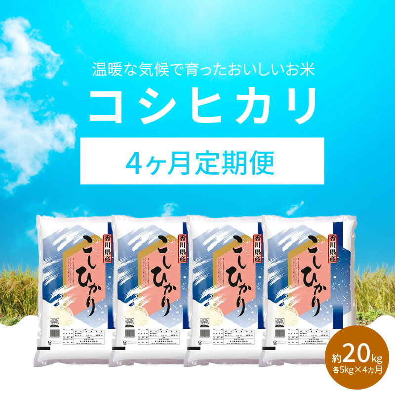 【ふるさと納税】定期便 コシヒカリ 国産 約 5kg × 4ヶ月 計約 20kg お米 米 精米 香川県産 粘り つや 甘み おうち時間 おうちごはん お弁当 おにぎり 食卓 お取り寄せ 食品 食べ物 送料無料 香川県 高松市