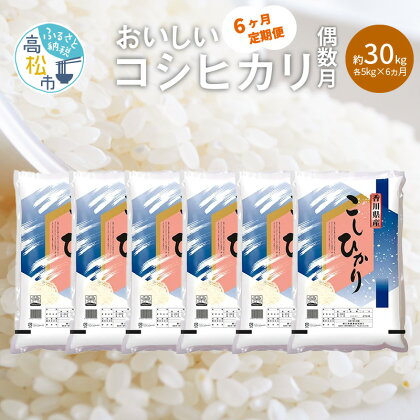 定期便 コシヒカリ 国産 約 5kg × 6ヶ月 計約 30kg 偶数月 お米 米 精米 香川県産 粘り つや 甘み おうち時間 おうちごはん お弁当 おにぎり 食卓 お取り寄せ 食品 食べ物 送料無料 香川県 高松市