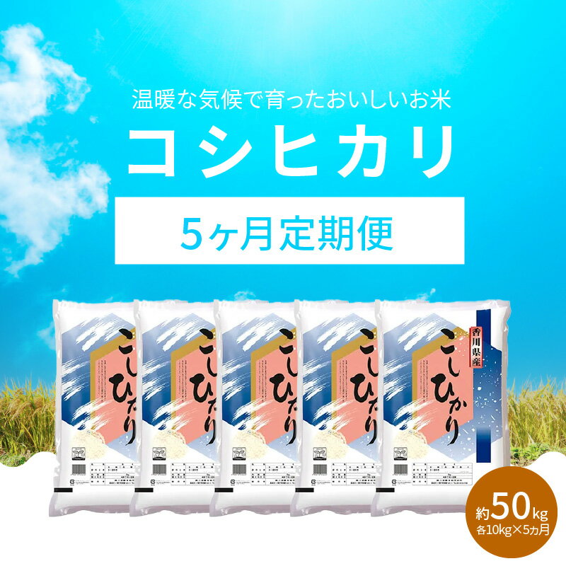 【ふるさと納税】【5ヶ月定期便】計約50kg おいしいコシヒカリ約10kg コシヒカリ 10kg