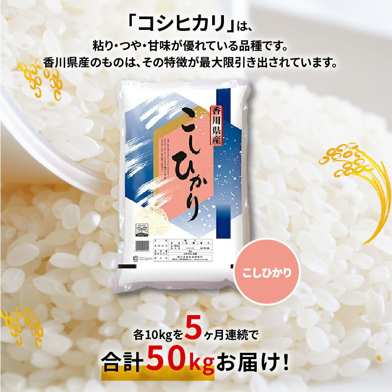 【ふるさと納税】【5ヶ月定期便】計約50kg おいしいコシヒカリ約10kg コシヒカリ 10kg