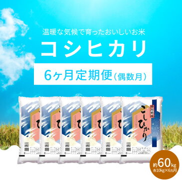 【ふるさと納税】【6ヶ月定期便】計約60kg 偶数月 おいしいコシヒカリ約10kg