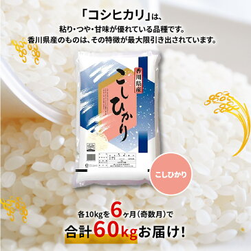 【ふるさと納税】【6ヶ月定期便】計約60kg 奇数月 おいしいコシヒカリ約10kg