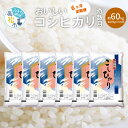 人気ランキング第7位「香川県高松市」口コミ数「0件」評価「0」定期便 コシヒカリ 国産 約 10kg × 6ヶ月計 約 60kg 奇数月 お米 米 精米 香川県産 粘り つや 甘み おうち時間 おうちごはん お弁当 おにぎり 食卓 お取り寄せ 食品 食べ物 送料無料 香川県 高松市