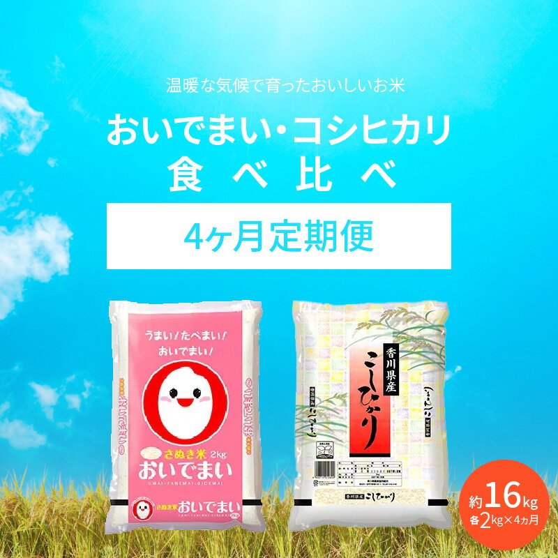 【ふるさと納税】 4ヶ月 定期便 計約16kg おいでまい コシヒカリ 食べ比べ 各2kg オリジナル品種 国産 米 精米 ご飯 白米 食品 人気 おすすめ お取り寄せ お取り寄せグルメ 送料無料