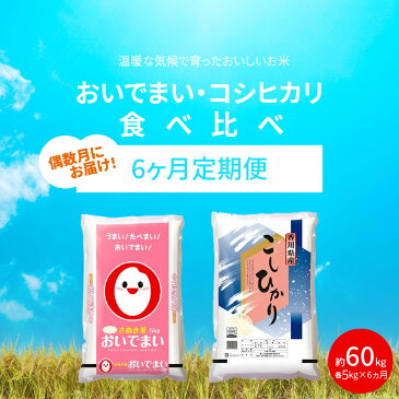 【ふるさと納税】【6ヶ月定期便】計約60kg 偶数月 おいでまい・コシヒカリ食べ比べ各5kg