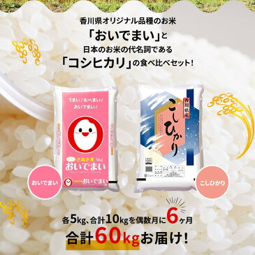 【ふるさと納税】【6ヶ月定期便】計約60kg 偶数月 おいでまい・コシヒカリ食べ比べ各5kg