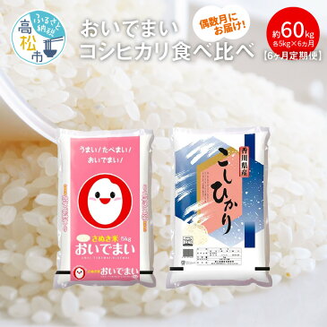 【ふるさと納税】【6ヶ月定期便】計約60kg 偶数月 おいでまい・コシヒカリ食べ比べ各5kg