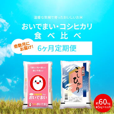 【ふるさと納税】【6ヶ月定期便】計約60kg 奇数月 おいでまい・コシヒカリ食べ比べ各5kg