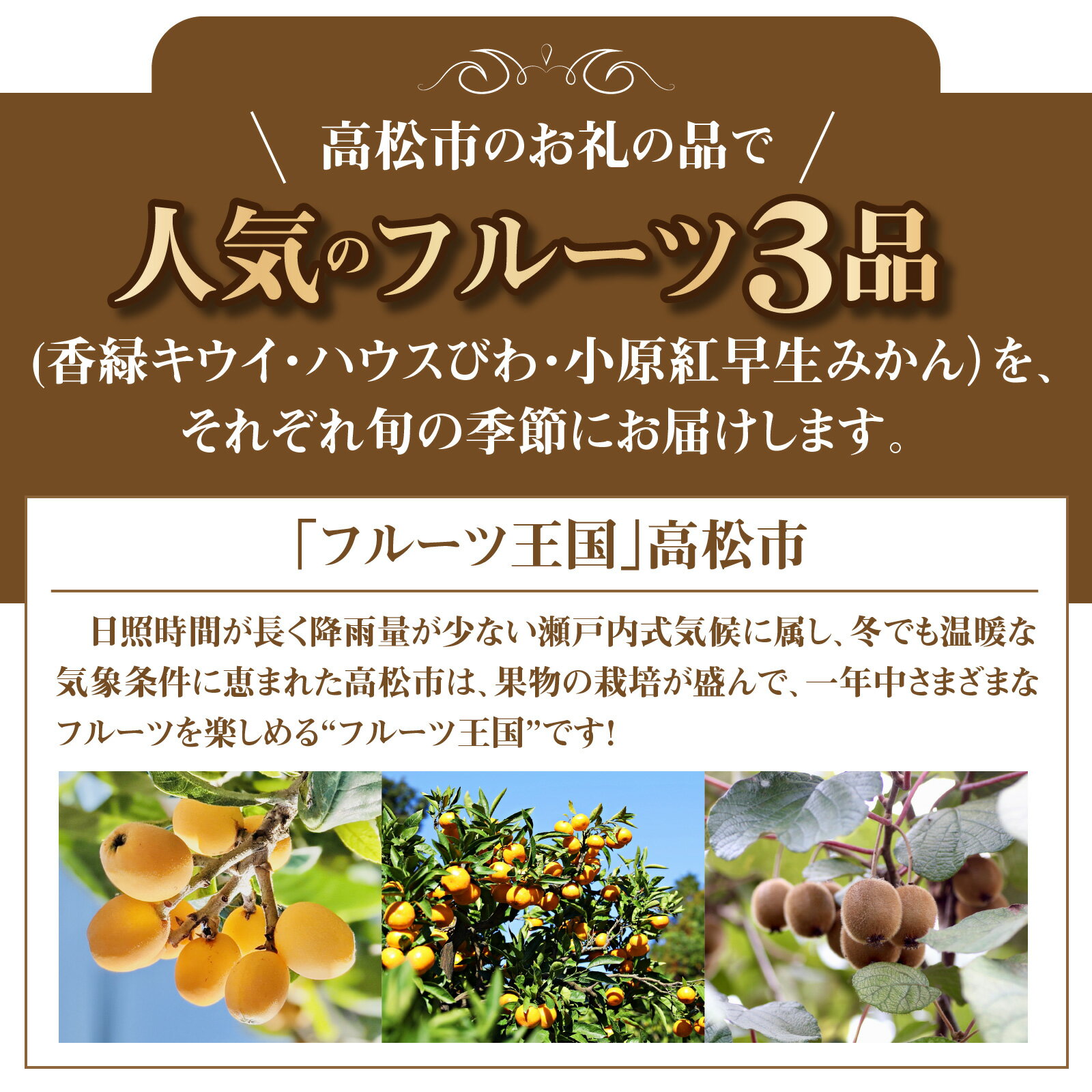 【ふるさと納税】 フルーツ 定期便 3回 季節 人気 厳選 フルーツ定期便 高松市 旬 キウイ びわ みかん 香緑キウイ 化粧箱 ハウスびわ 小原紅早生みかん セット 果物 旬にお届け お取り寄せ お取り寄せフルーツ 送料無料