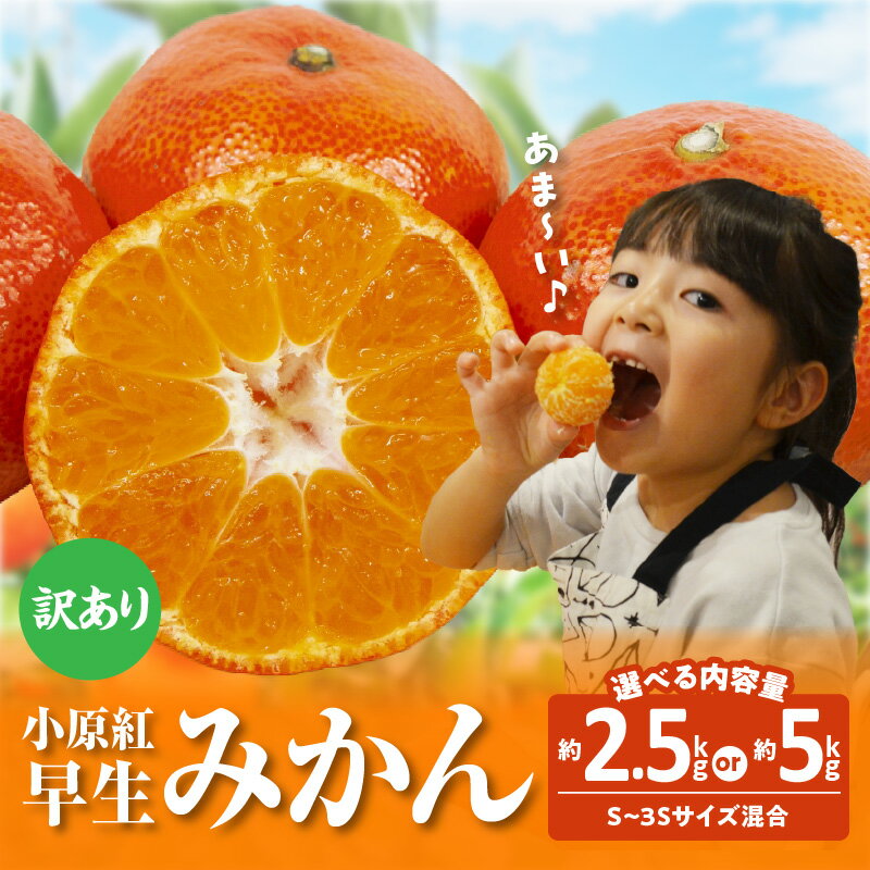 【ふるさと納税】訳あり 家庭用 小原紅早生みかん 約5kg サイズ混合 小玉 早生 みかん フルーツ 果物 果実 国内 国産 香川県 オリジナル 品種 果物 紅色 柑橘 オリジナル品種 小原紅早生 甘い お取り寄せ 送料無料のサムネイル