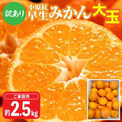 【訳あり】 ご家庭用 小原紅早生みかん (大玉) 約2.5kg【10月下旬～1月下旬配送予定】 小原紅早生 みかん 大玉 サイズ 4L～Lサイズ 家庭用 果物 フルーツ 柑橘 オリジナル品種 赤いみかん グルメ お取り寄せ お取り寄せグルメ 香川県 高松市 送料無料