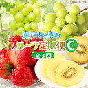 【ふるさと納税】【3回お届け】高松市自慢のフルーツ定期便【C】 | 果物 フルーツ 果実 いちご マスカット キウイ さぬきひめいちご シャインマスカット ゴー...