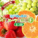 【ふるさと納税】【ALL化粧箱】【3回お届け】高松市自慢のフルーツ定期便【F】 | 果物 フルーツ スイーツ デザート さぬきひめいちご シャインマスカット 小...