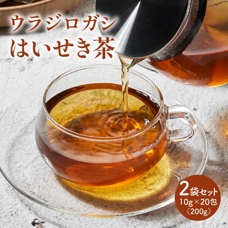 はいせき茶 ウラジロガシ ウラジロガシはいせき茶 2袋 セット ノンカフェイン 栄養たっぷり パック パック茶 お茶 茶 ブレイクタイム モーニング 朝 香川県 高松市 送料無料