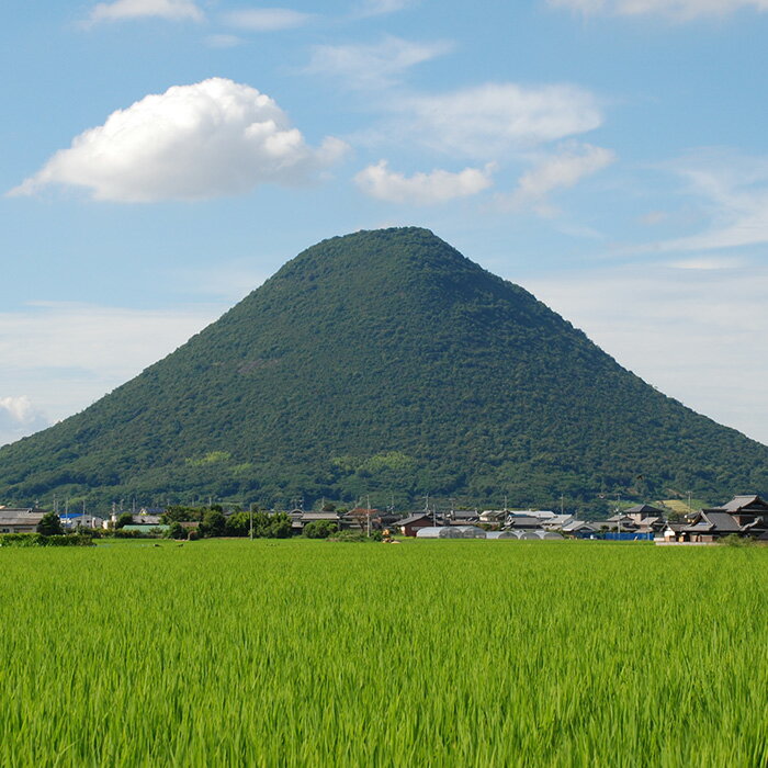 【ふるさと納税】ふるさと納税　香川県丸亀市の対象施設で使える 楽天トラベルクーポン 寄付額100,000円(クーポン27,000円)　【旅行】その2