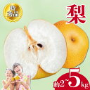 【ふるさと納税】 先行予約 特秀品 梨 約2kg 丸亀産 ナシ 果物 フルーツ 果実 スイーツ デザート ゼリー アイス シャーベット ジャム ジュース ジェラ...