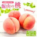 【ふるさと納税】 桃 モモ 約 2kg 4kg 白桃 ピーチ 果物 くだもの フルーツ 果実 飯山の桃 ふるさと納税 スイーツ デザート ケーキ ジュース ゼリ...