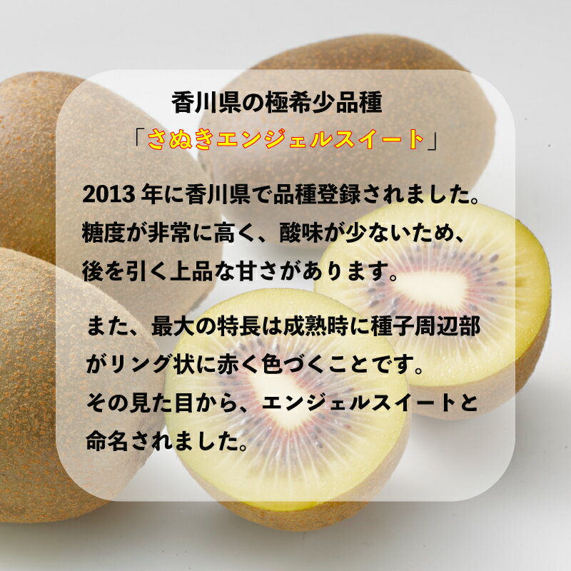 【ふるさと納税】 キウイ さぬきエンジェルスイート 選べる 約1kg 約2kg 常温 先行予約 11月上旬以降発送 果物 フルーツ 香川県 丸亀市