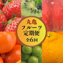 【ふるさと納税】 果物を贅沢に味わう 丸亀のフルーツ定期便 全6回 キウイ いちご 不知火 桃 シャインマスカット みかん さぬきひめ さぬき紅みかん 香緑 香...