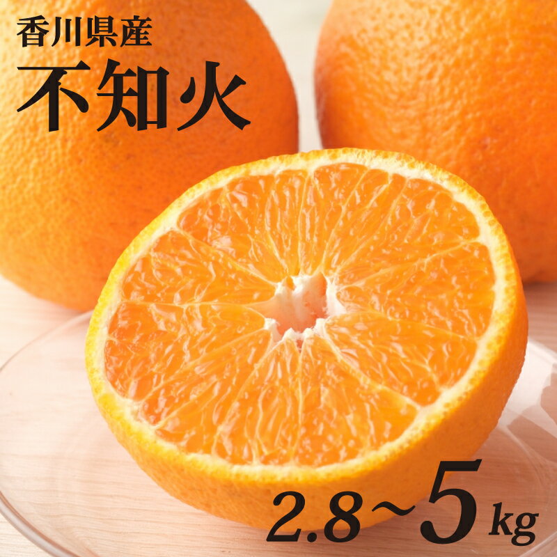 不知火 選べる 約2.8kg 約3kg 約5kg ハウス 貯蔵 常温 冷蔵 先行予約 しらぬい 果物 フルーツ 香川県 丸亀市