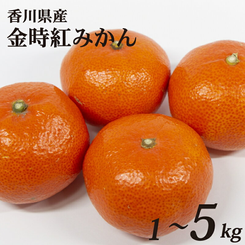 【ふるさと納税】 金時紅みかん 選べる 約1kg~約5kg 常温 先行予約 みかん 早生 果物 フルーツ 香川県 丸亀市