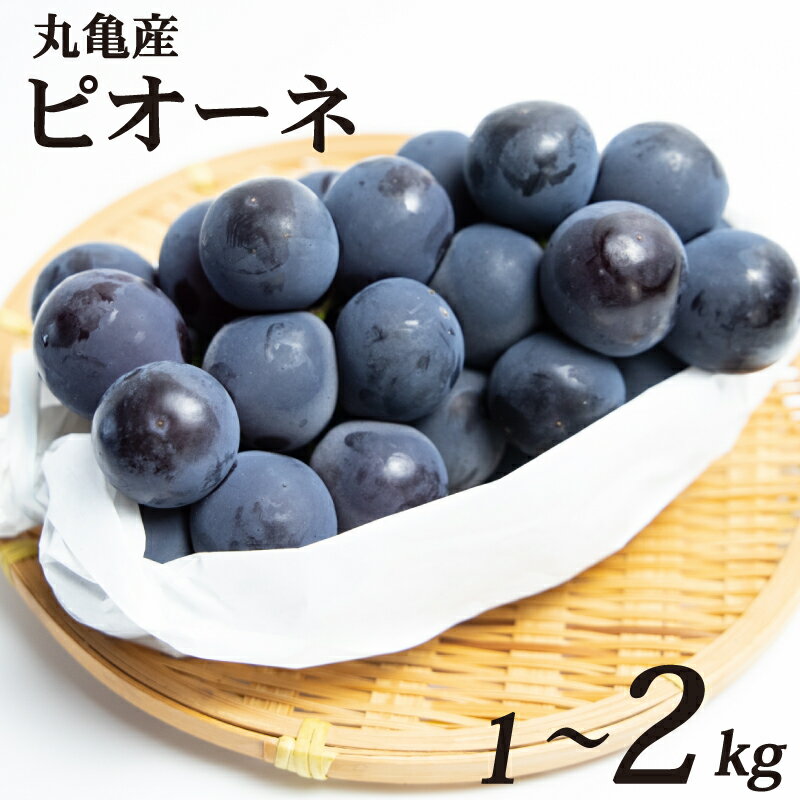 【ふるさと納税】 先行予約 ピオーネ ぶどう 選べる容量 約1kg 約2kg 通常箱 化粧箱 冷蔵 