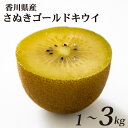 【ふるさと納税】 さぬきゴールドキウイ 選べる 約1g ~ 約3kg 冷蔵 先行予約 キウイ 果物 フルーツ 香川県 丸亀市
