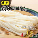 【ふるさと納税】 讃岐うどん 半生麺 6人前 12人前 ダシなし つけダシ かけダシ 丸亀うどん 讃岐 さぬき 名店 まごころ 香川県 丸亀市
