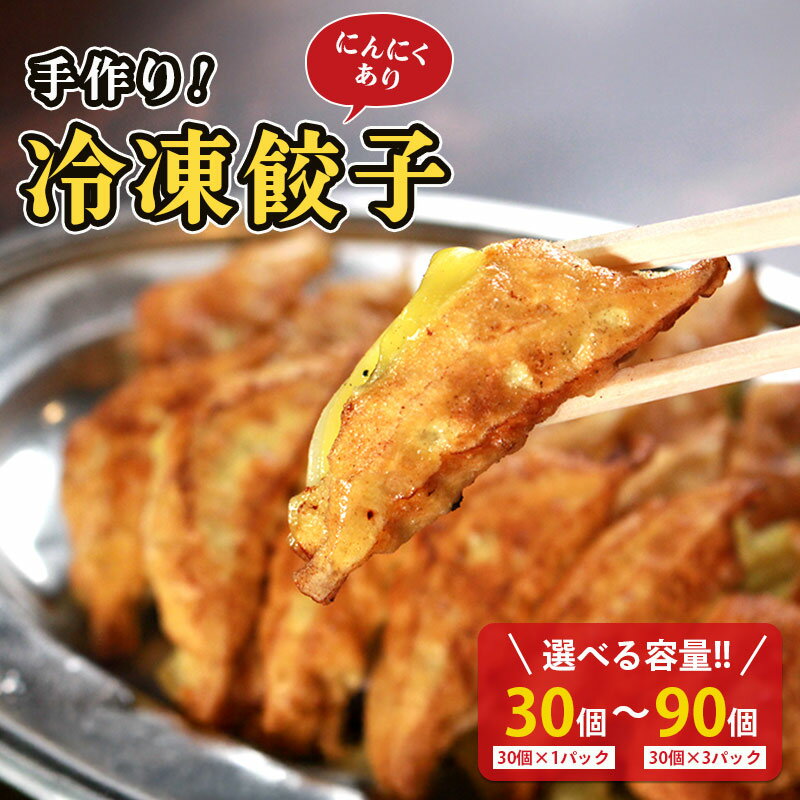 冷凍餃子 選べる容量 にんにくあり 30個×1p 2p 3p 餃子 セット ぎょうざ ギョウザ にんにく 青森 肉 お肉 豚肉 豚 鶏肉 鳥 おつまみ 加工品 肉汁 惣菜 お弁当 冷凍ストック 寺岡商店 香川県 丸亀市