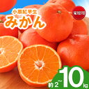 【ふるさと納税】 先行予約 みかん 蜜柑 約2kg 3kg 5kg 10kg 小原紅早生 小原紅早生みかん 柑橘 オレンジ 果物 フルーツ 果実 旬 家庭用 1...