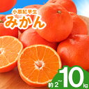 【ふるさと納税】 先行予約 みかん 蜜柑 約2kg 3kg 5kg 10kg 小原紅早生 小原紅早生みかん さぬき紅 金時紅 柑橘 オレンジ 果物 フルーツ 果...