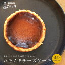 【ふるさと納税】 カキノキ チーズケーキ 4号 プレーン 抹茶 焙じ茶 マーブルチョコ ラムレーズン アールグレイ きなこ ブルーベリー ベイクドチーズケーキ ...