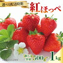 【ふるさと納税】 いちご 紅ほっぺ 苺 約 500g 1kg 【選べる配送月】 果物 フルーツ くだもの イチゴ ジューシー 果汁 果実 ケーキ ジュース ゼリー アイス ジャム デザート スイーツ ふるさと納税いちご ふるさと納税フルーツ 国産 香川県 丸亀市 発送期間:2月~5月