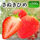 【ふるさと納税】 先行予約 いちご さぬきひめ 約500g 果物 フルーツ 苺 デザート スイーツ ケーキ ジュース ゼリー アイス シャーベット ジェラート フルーツ大福 ドライフルーツ クレープ ギフト 家庭用 旬の果物 旬 お取り寄せ グルメ 人気 おすすめ 香川県 丸亀市|詳細画像